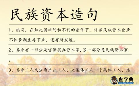 民族資本造句