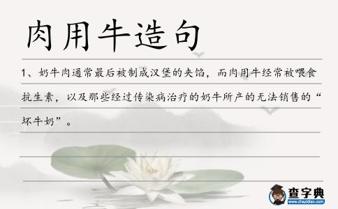 肉用牛造句
