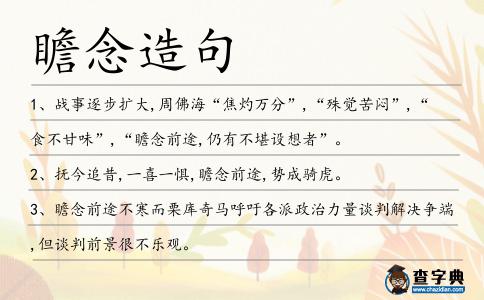 瞻念造句