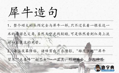 犀牛造句