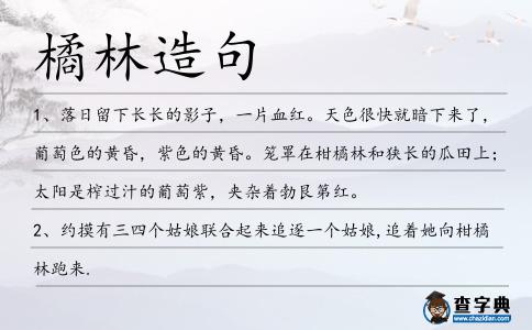 橘林造句