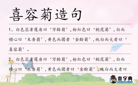 喜容菊造句