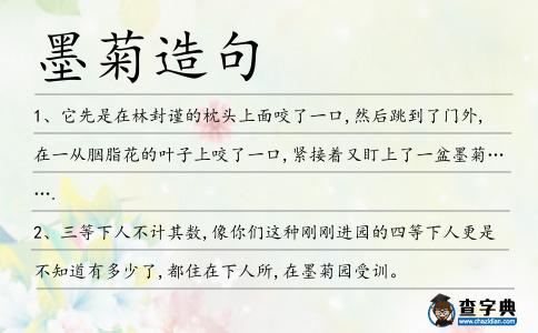墨菊造句
