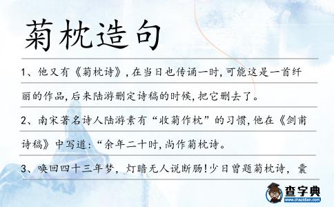 菊枕造句