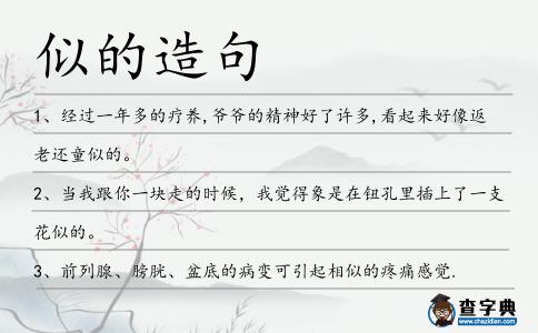 似的造句