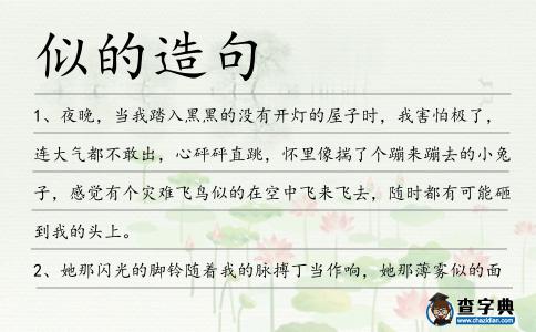 似的造句