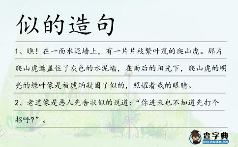 似的造句