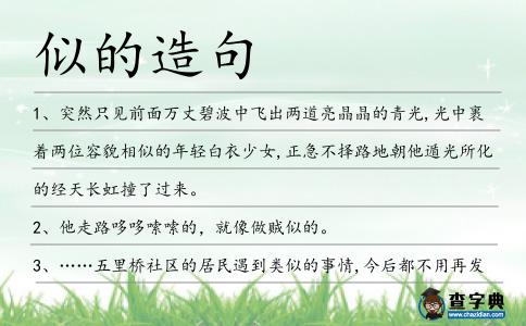 似的造句