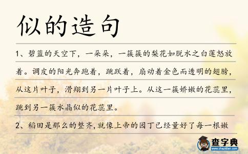 似的造句