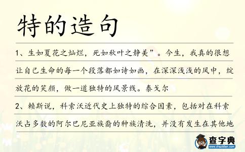 特的造句