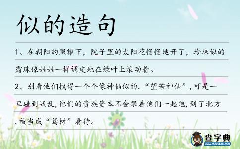 似的造句
