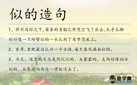 似的造句