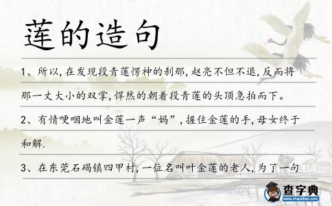 蓮的造句
