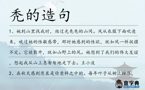 禿的造句
