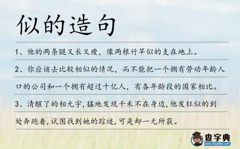 似的造句