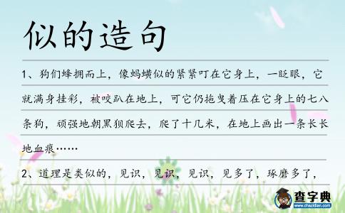 似的造句