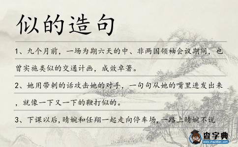 似的造句