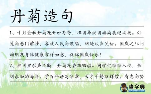 丹菊造句