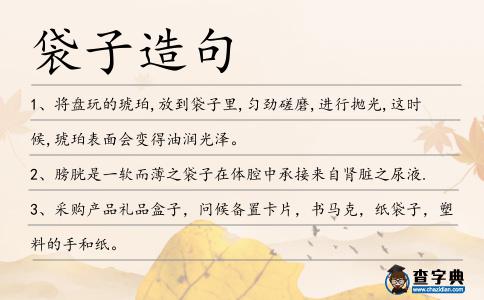 袋子造句