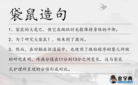 袋鼠造句