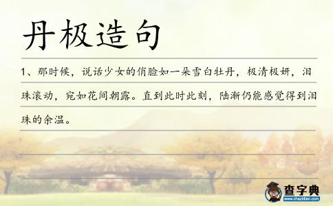 丹極造句