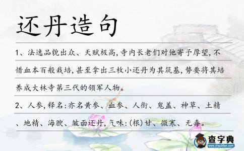 還丹造句