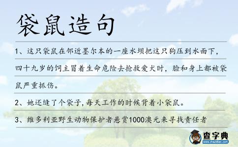 袋鼠造句