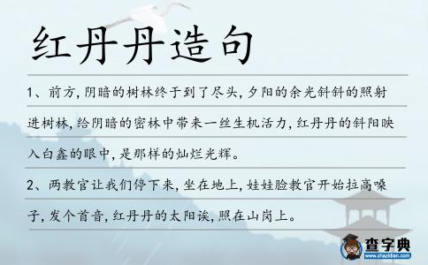 紅丹丹造句