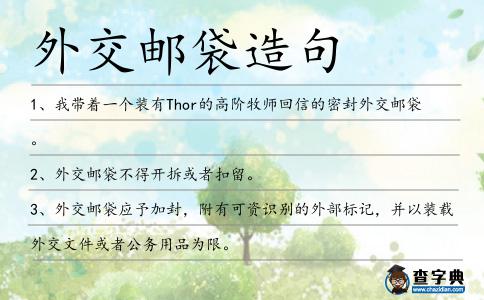 外交郵袋造句