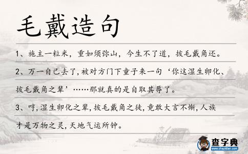 毛戴造句