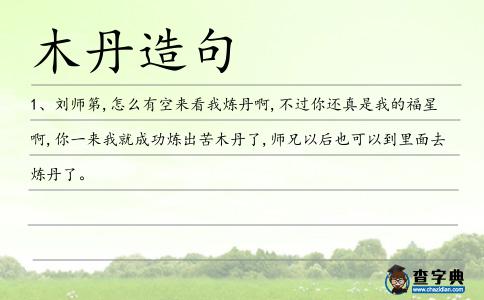 木丹造句