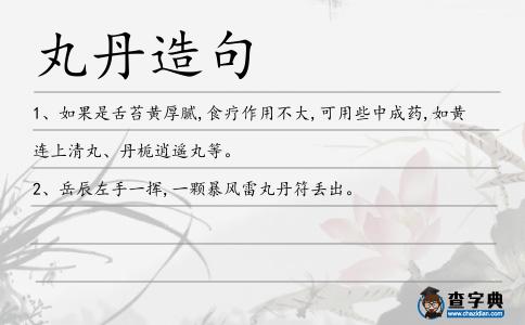 丸丹造句