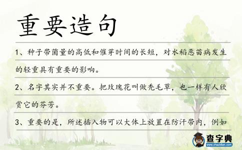 重要造句