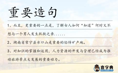 重要造句