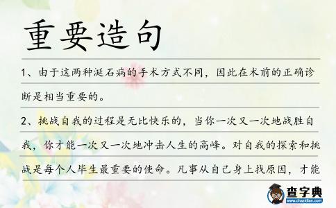 重要造句