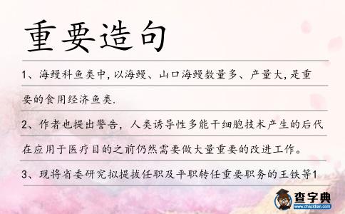 重要造句
