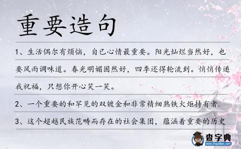 重要造句