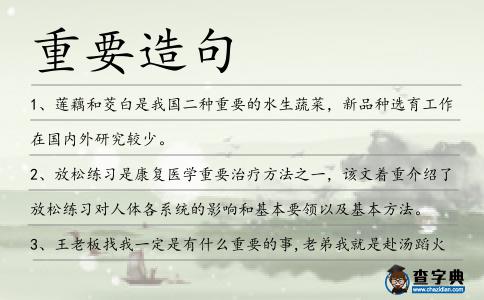 重要造句
