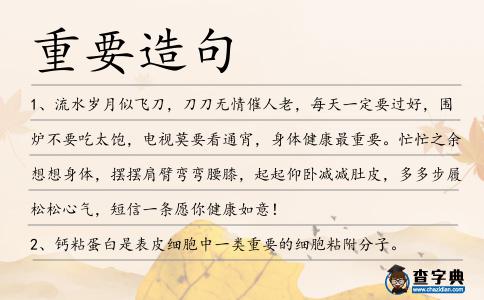 重要造句
