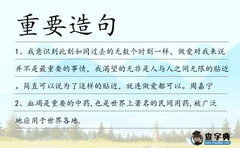 重要造句