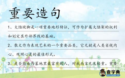 重要造句