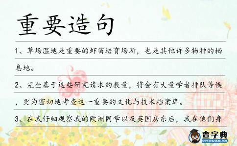 重要造句