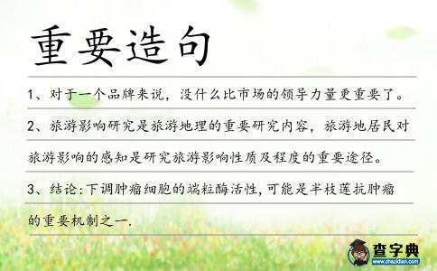 重要造句