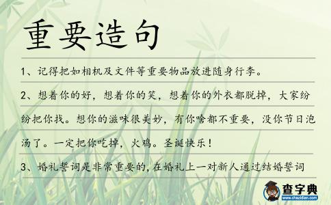 重要造句