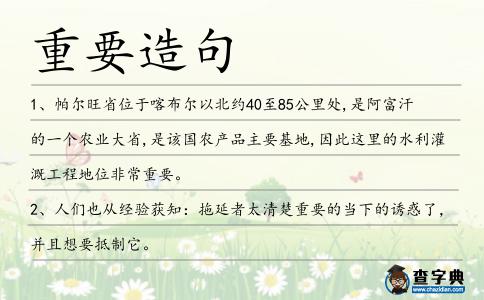 重要造句