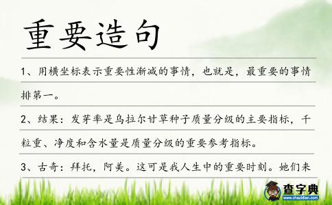 重要造句