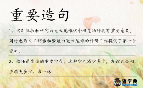 重要造句