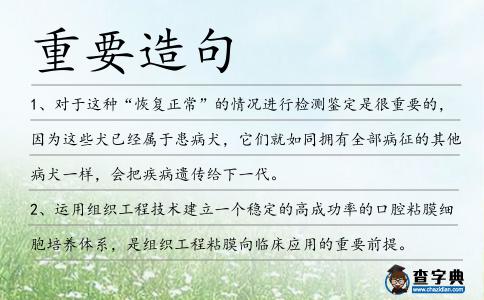 重要造句