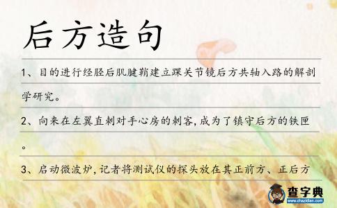 后方造句