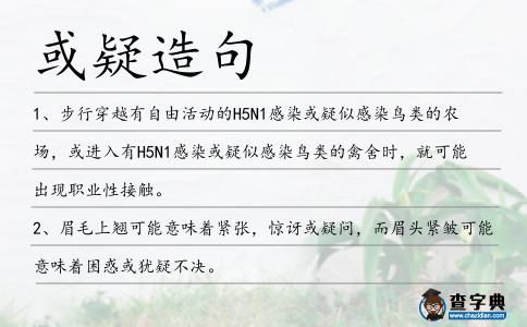 或疑造句